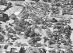 1948_city-park_aerial_dallas-municipal-archives_portal_sm